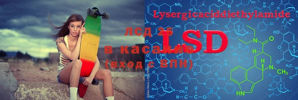 гашик Аркадак