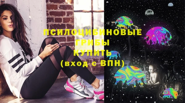 ПСИЛОЦИБИНОВЫЕ ГРИБЫ Армянск