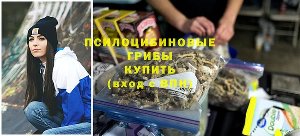 гашик Аркадак
