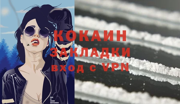 гашик Аркадак
