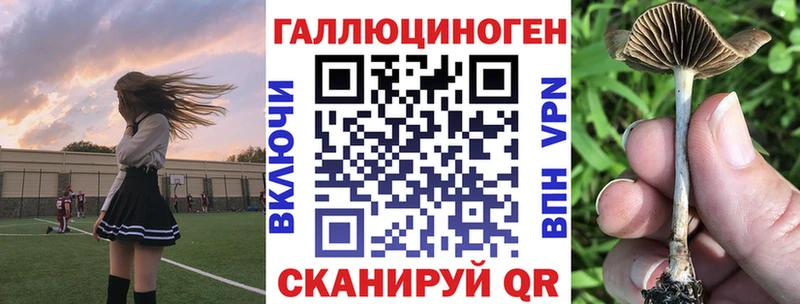 сколько стоит Бодайбо Галлюциногенные грибы Psilocybine cubensis