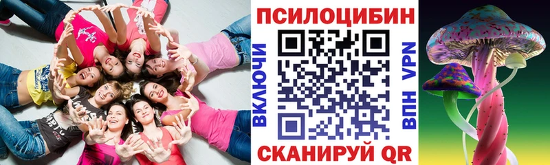 Псилоцибиновые грибы Psilocybe Бодайбо